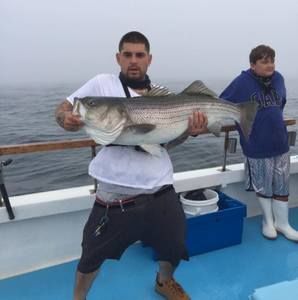 Meet your Posher, George